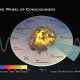 Around the Wheel of Consciousness
