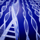 Epigenetics