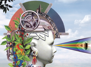 The Tourists of Consciousness